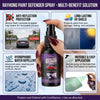 RayHong Vehicle Plate Protection Spray – Clear Protective Coating for License Plates