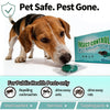 Peppermint & Botanical Oil Repellent Pouches: Rodent, Ant, Spider & Roach Deterrent, 12 Count